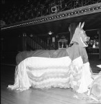 When dragons Came To The Ballroom (3 of 6)