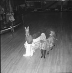 When dragons Came To The Ballroom (5 of 6)