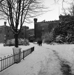 For Some The Snow Is Wonderful (4 of 5)