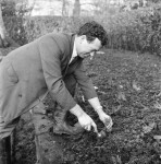 Remembrance Garden Nears Completion