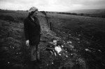Smallholdings: Decision Soon