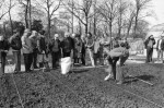 Tips On Seed Sowing