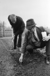 Burnley Express Garden
