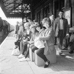 Sunshine Seekers!