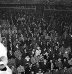 What Has Drawn These Crowds?