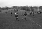 Mud Is The Only Winner. Belvedere 2, Old Boltonians 2