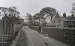 The Brian Hall Collection