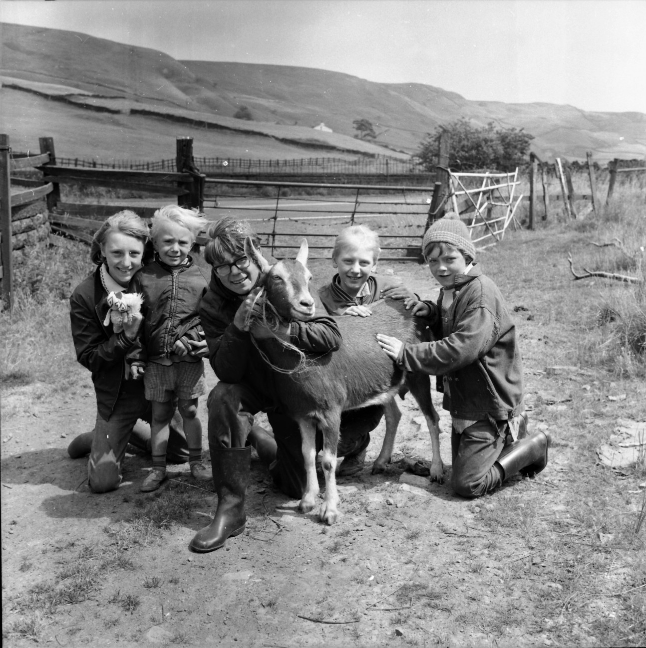 What A Let-Down For A Mountain Goat