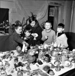 Horticultural Show Exhibits Of A High Standard