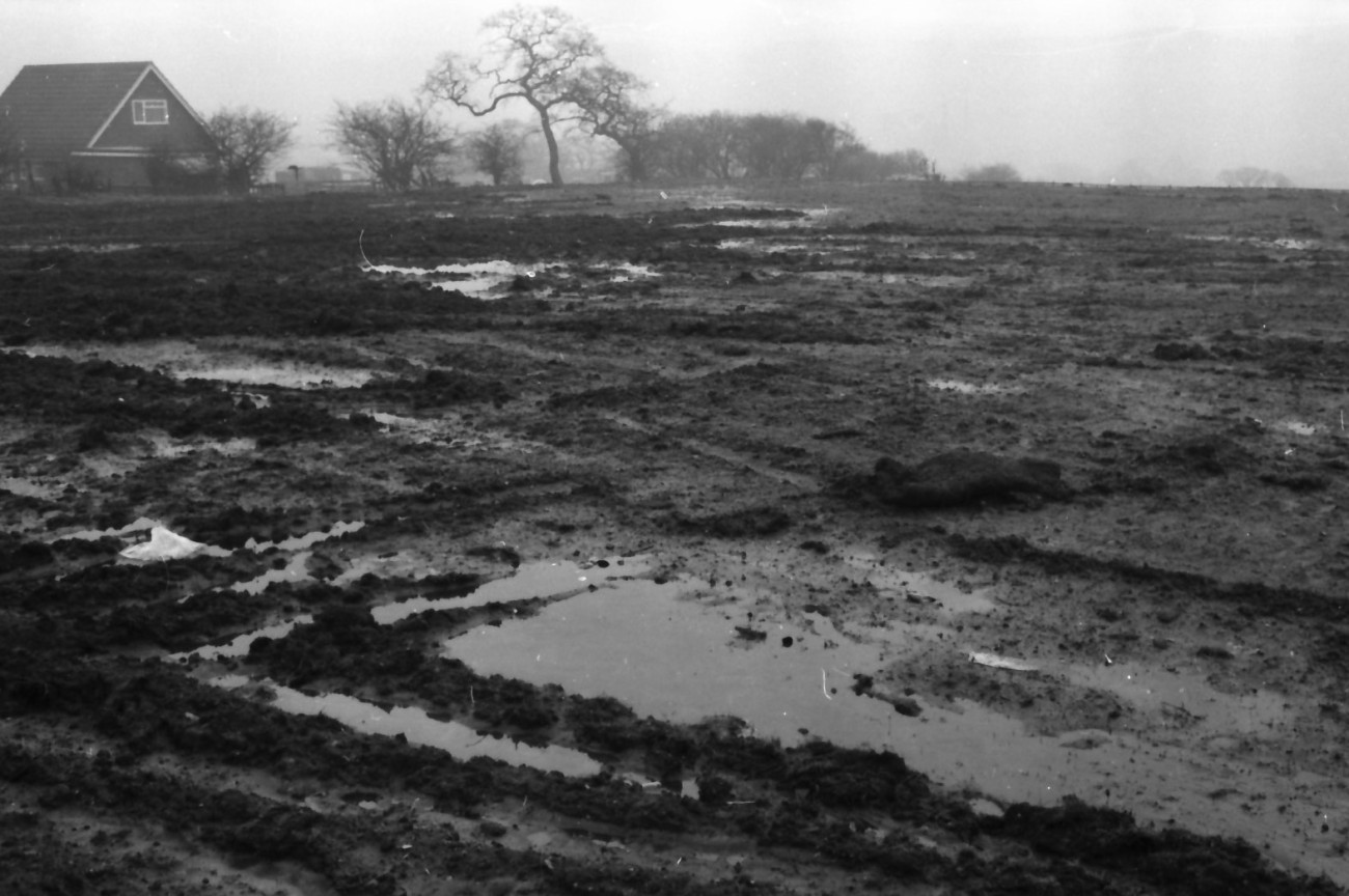 Landscaping Meets Snags