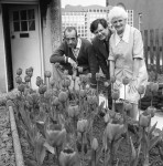 Rotary's Wishing Well: The Scheme That Makes Dreams Come True