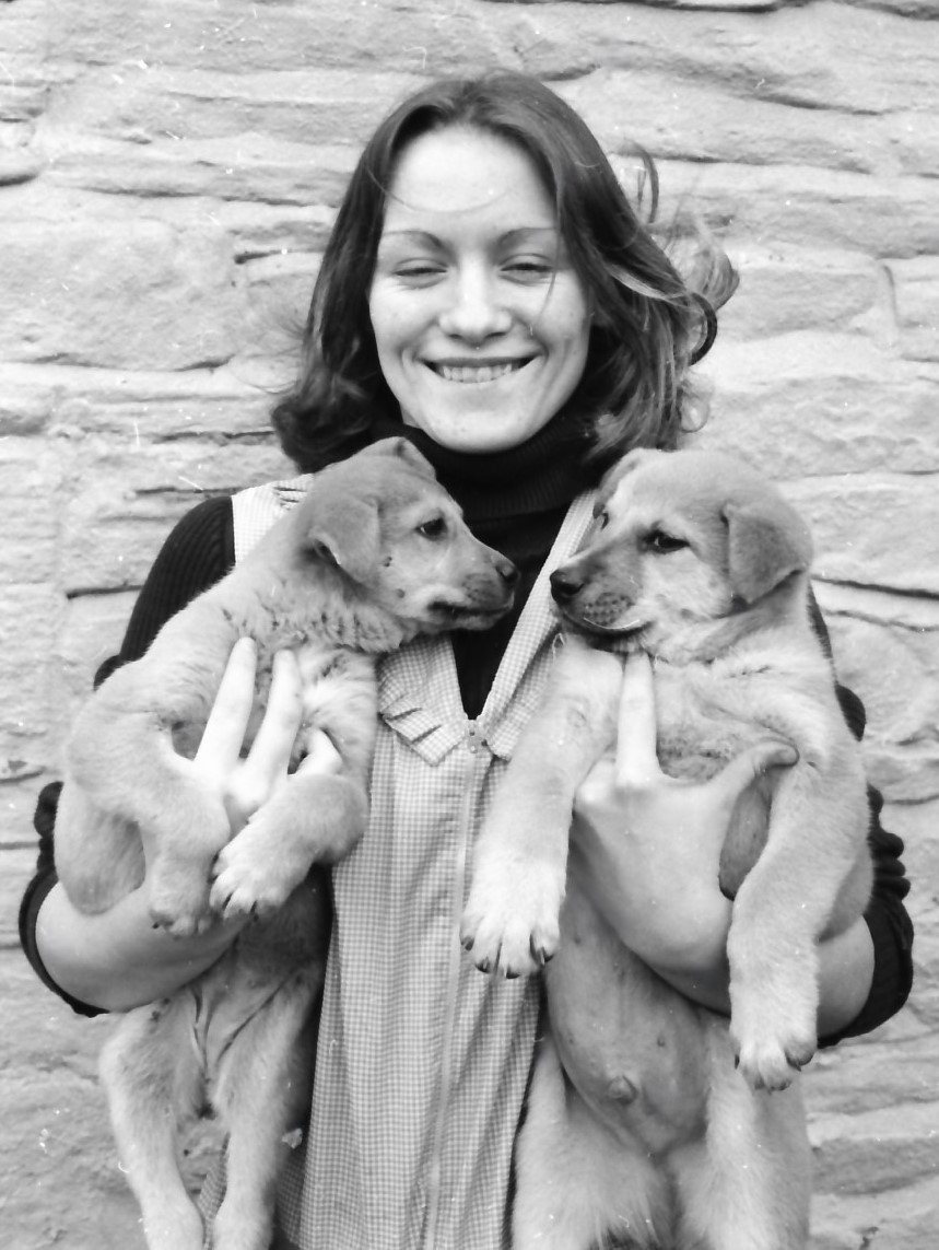 Who Can Resist These Two Puppies?