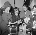 Guild Handicrafts Much Appreciated