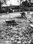 Re-laying The Cobbles