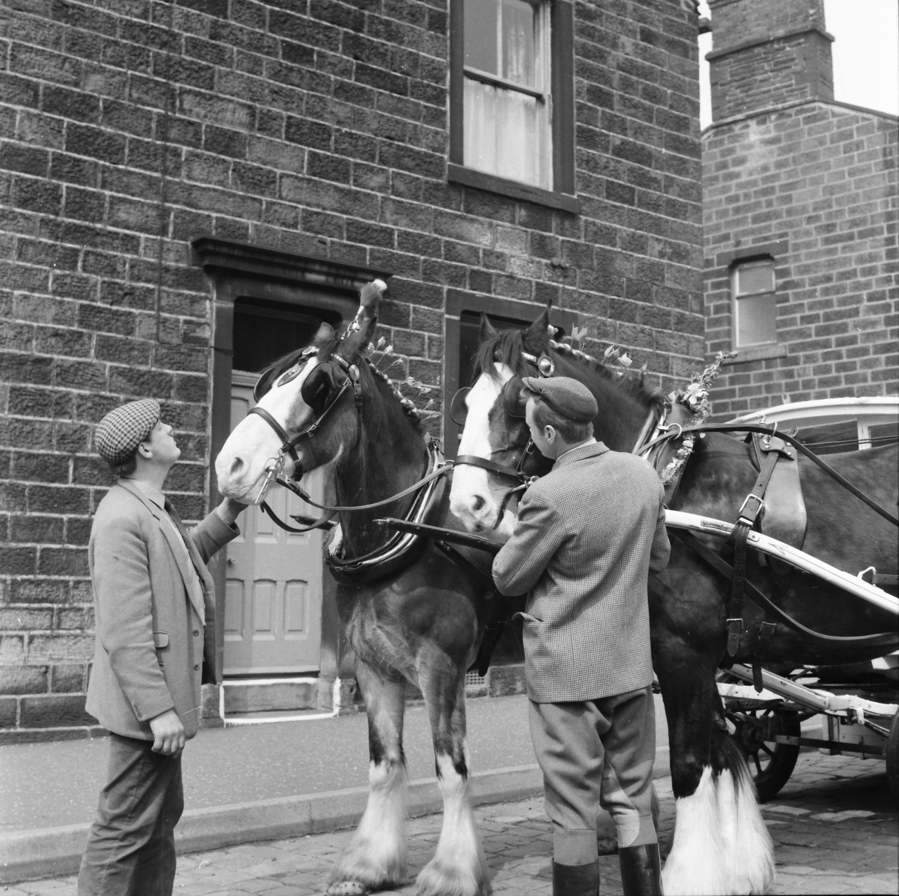 Bringing colour to May Day