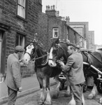 Bringing colour to May Day (�)