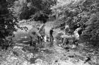 Clean up campaign for brook