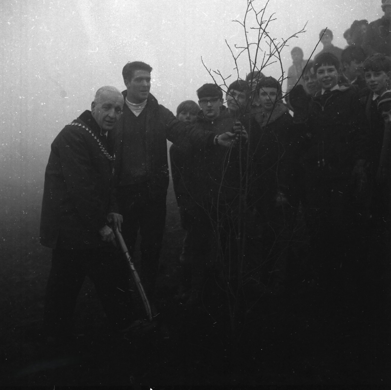 Tree planting on a foggy morning