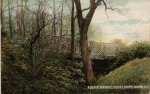 Robert Townson Collection
