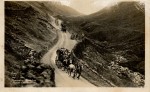 Robert Townson Collection