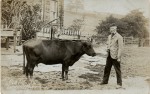 Robert Townson Collection