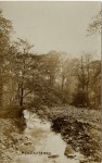 Robert Townson Collection