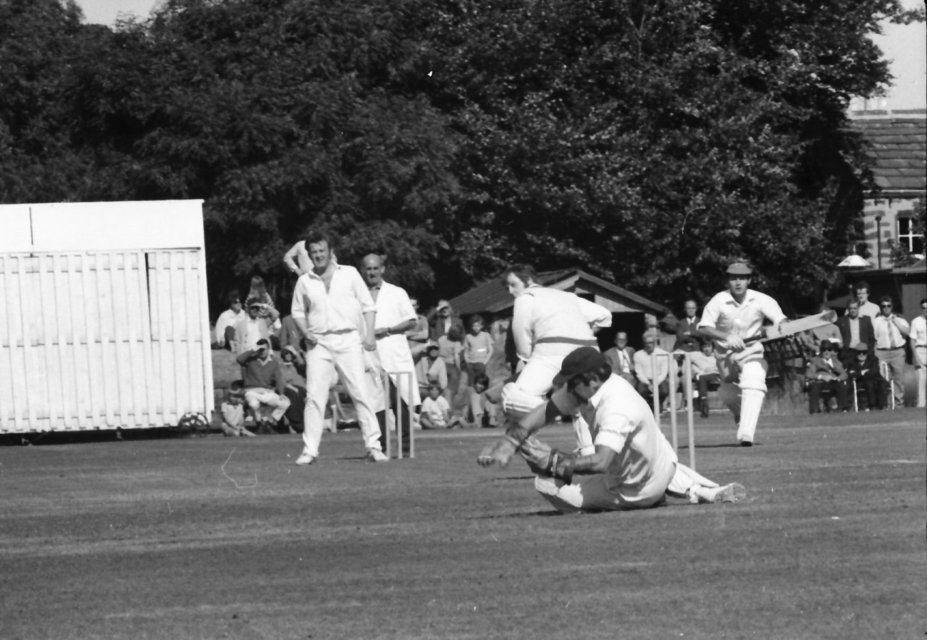 Cricket Festival Thrills Crowd