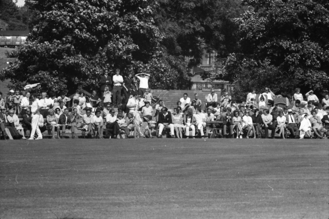 Cricket Festival Thrills Crowd