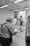 Boxers get into shape