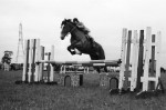 Riding Club Prepares For Big Day