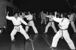 Brunokwai Karate Club
