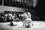 Karate Demonstration