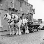 It Takes Two Horsepower To Pull A Pint (3 of 6)