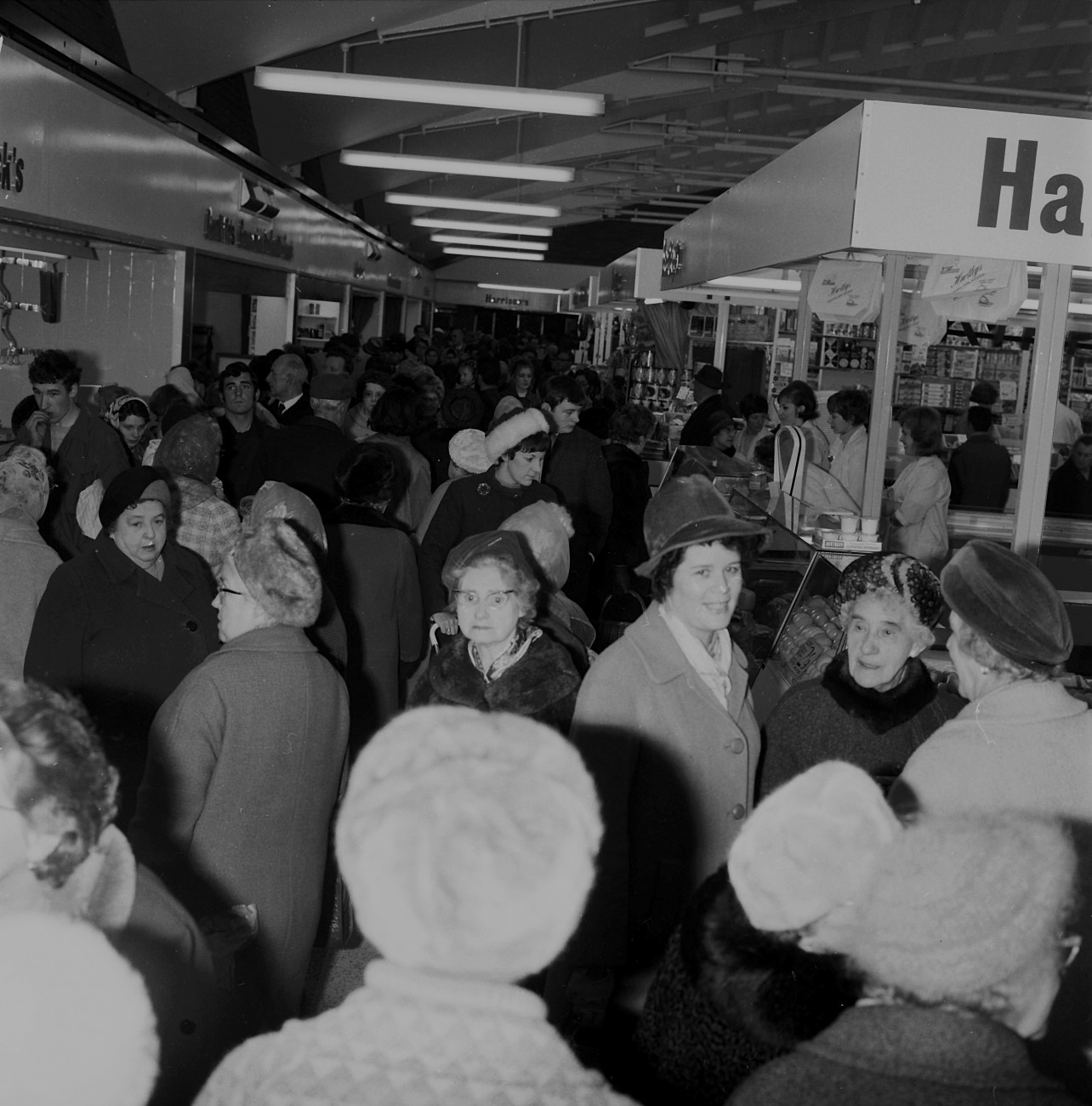 Out Of Frenzy, A Popular Hit