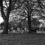 70 In Cross Country Run Round Park (6�)